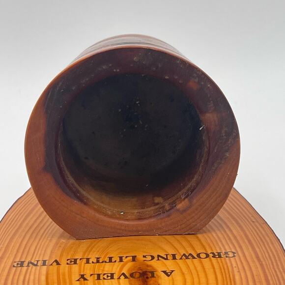 Great Smokey Mtns Wood Vine Planter from Forbidden Caverns Rustic Polished Wall - Picture 4 of 11